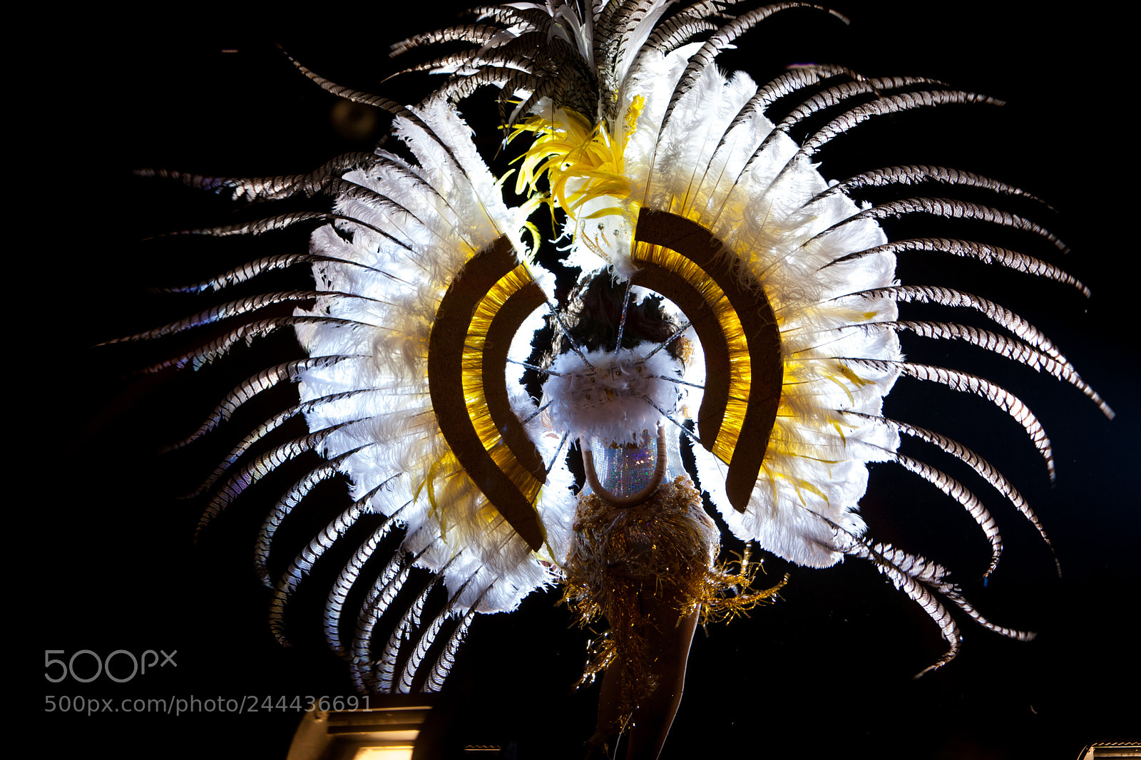 Canon EOS-1D Mark III sample photo. La elegancia de moverse photography