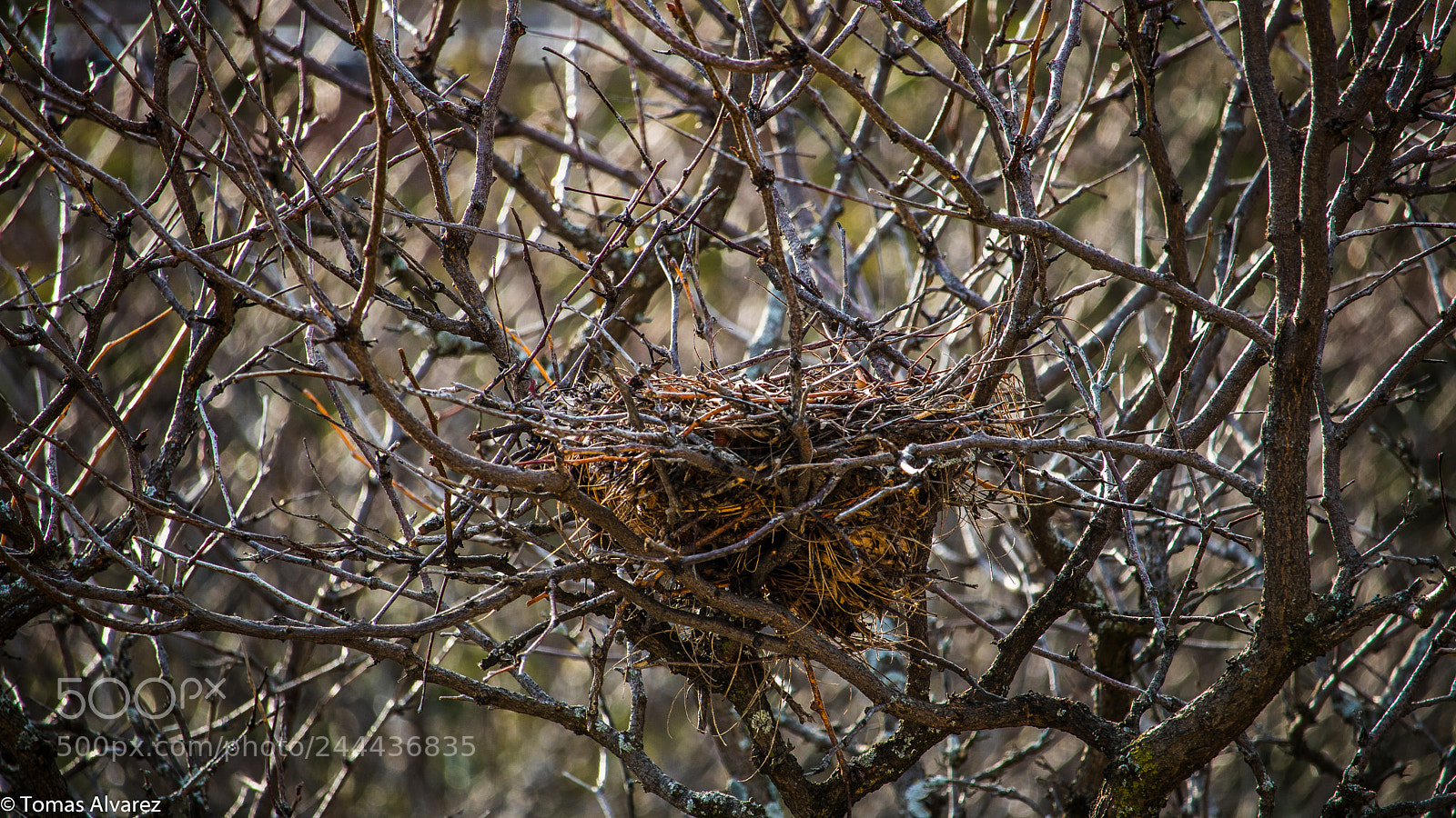 Canon EOS 750D (EOS Rebel T6i / EOS Kiss X8i) sample photo. Life happens when you photography