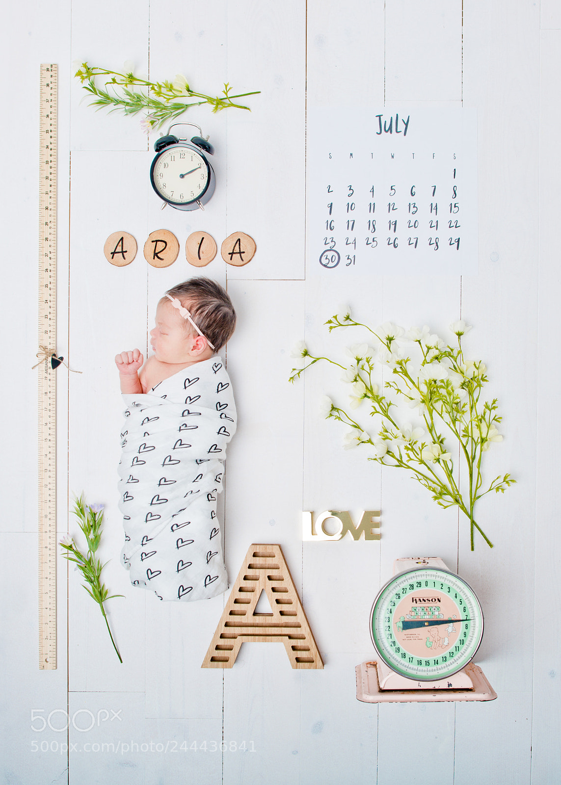 Nikon D800 sample photo. A is for aria photography