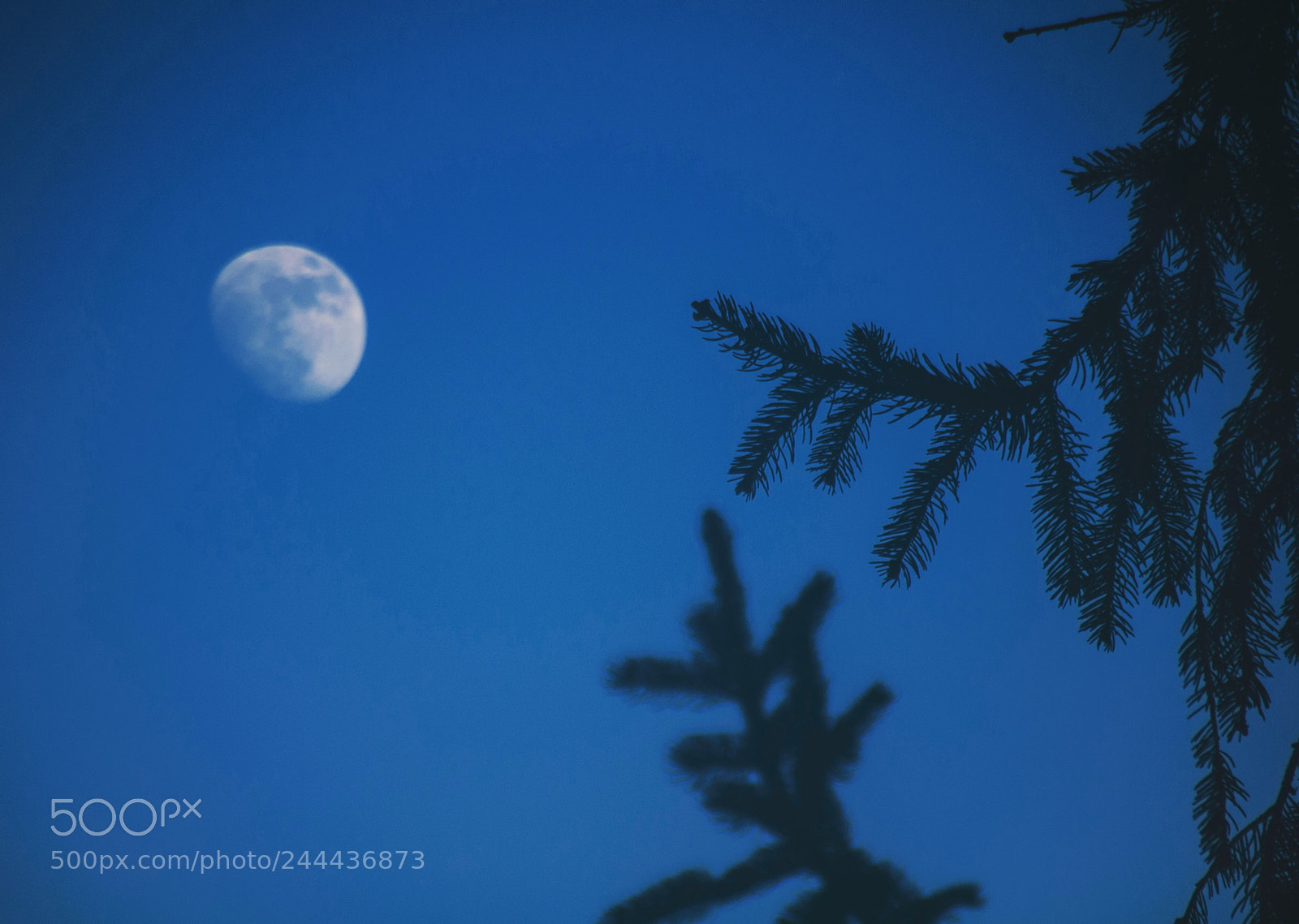 Nikon D90 sample photo. Moon photography