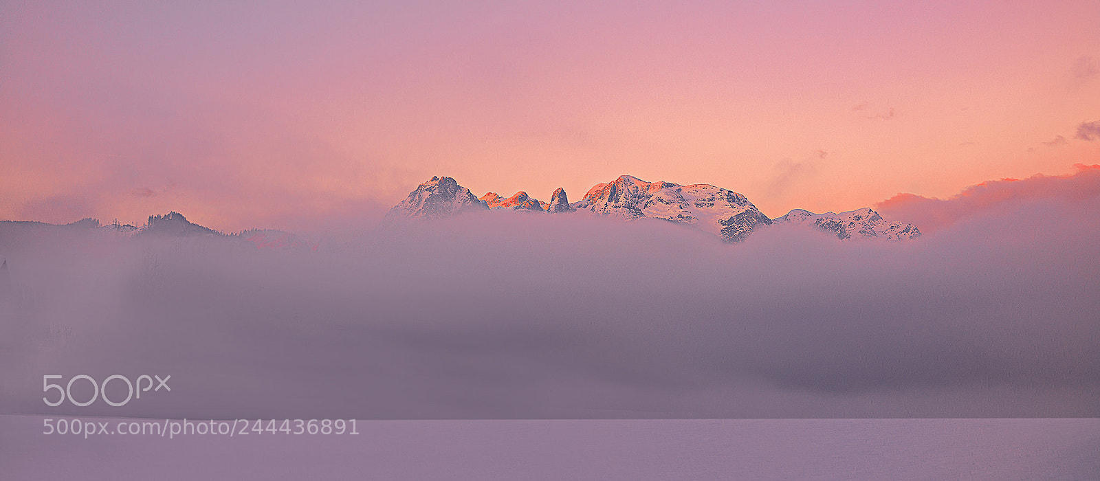Sony Cyber-shot DSC-RX1R II sample photo. Pink morning photography