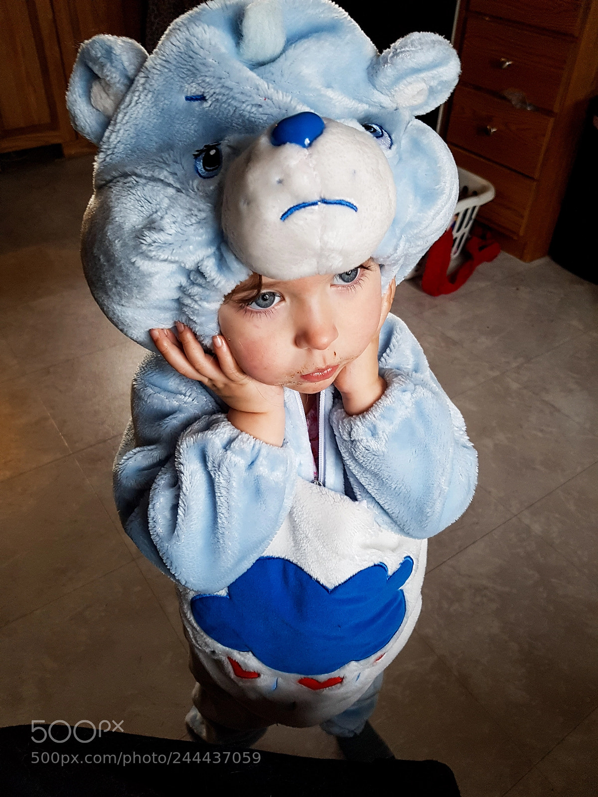 Samsung Galaxy S7 sample photo. Grumpy bear photography