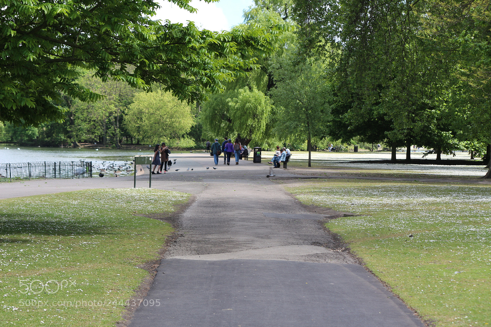 Canon EOS 650D (EOS Rebel T4i / EOS Kiss X6i) sample photo. Img photography