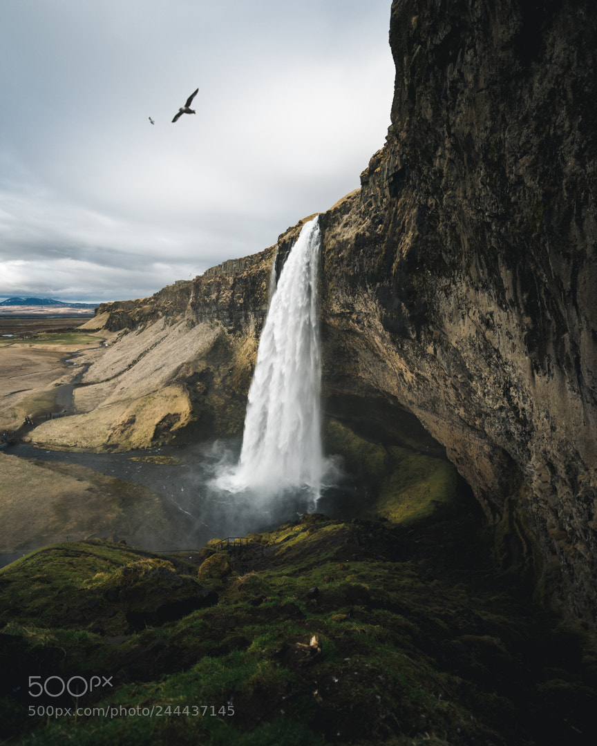 Nikon D810 sample photo. Icelandic waterfall photography