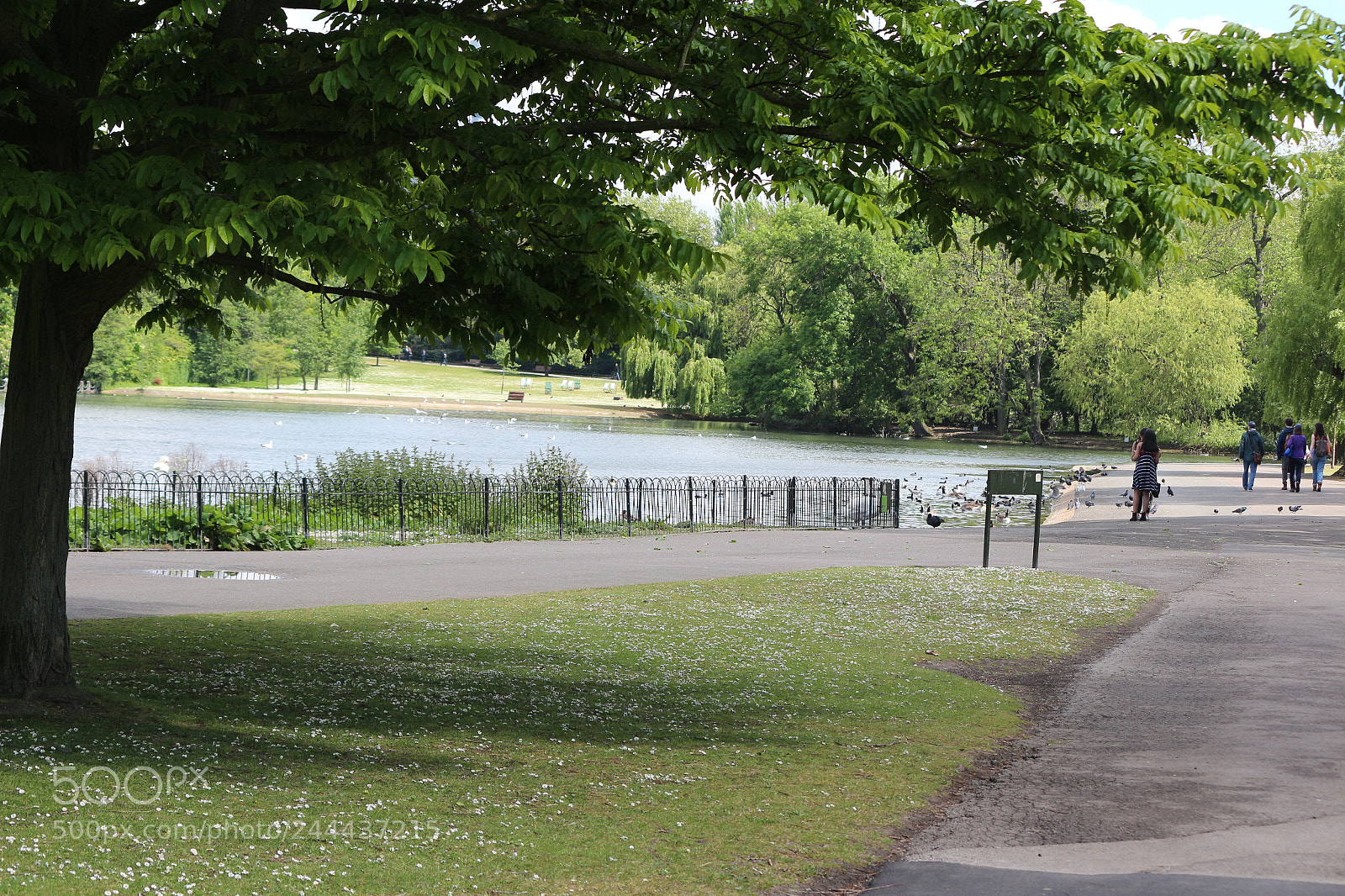 Canon EOS 650D (EOS Rebel T4i / EOS Kiss X6i) sample photo. Img photography