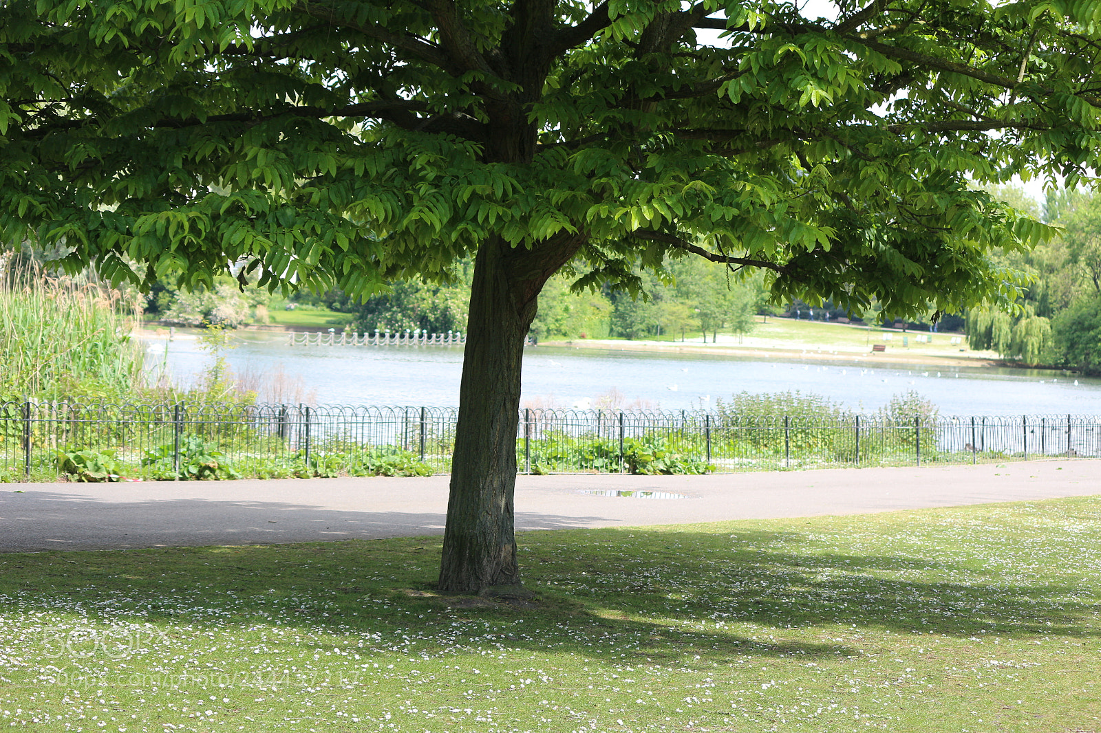 Canon EOS 650D (EOS Rebel T4i / EOS Kiss X6i) sample photo. Img photography