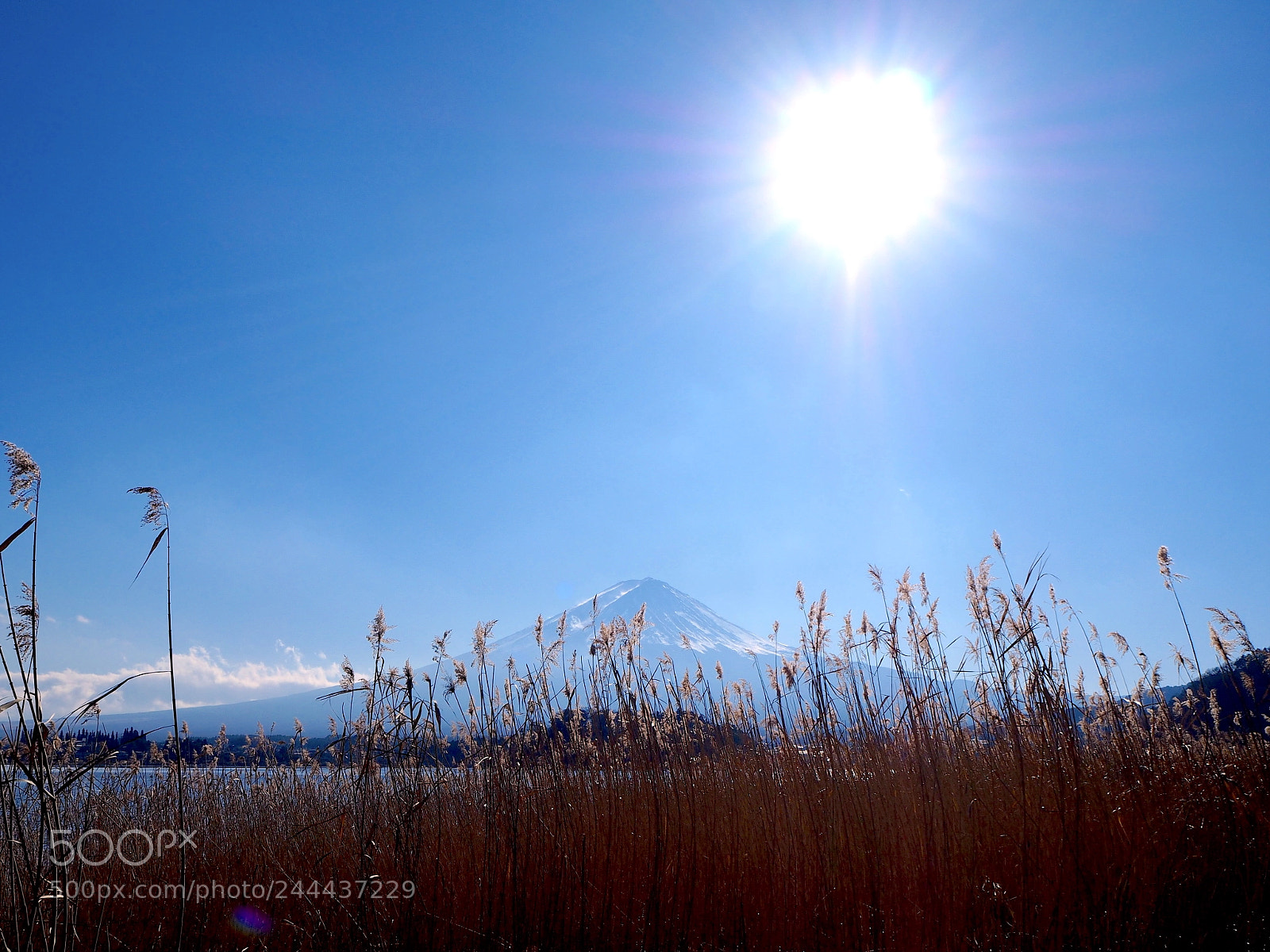 Olympus OM-D E-M10 sample photo. Mount fuji in its photography