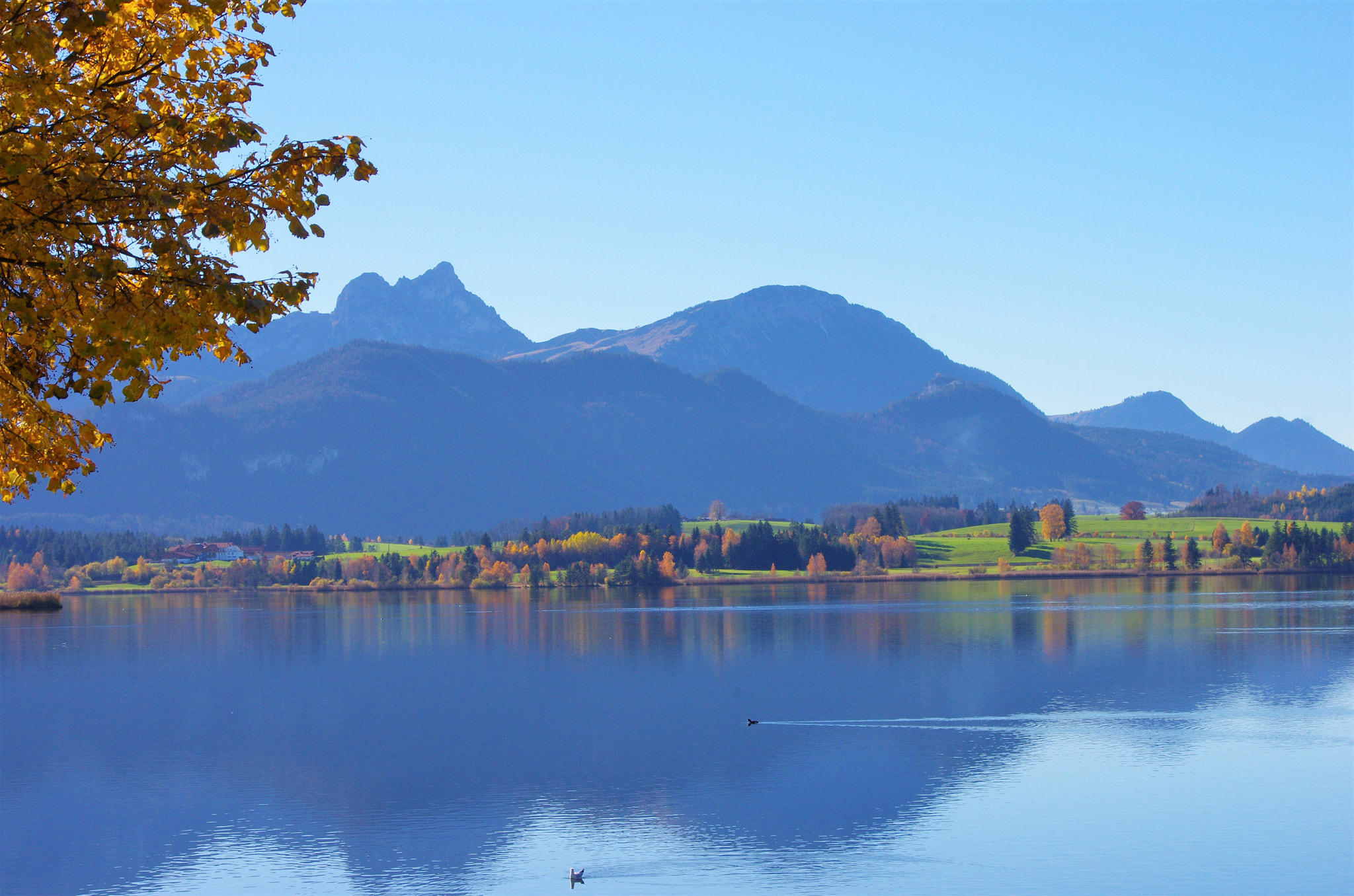 Pentax K-5 sample photo. Hopfensee photography