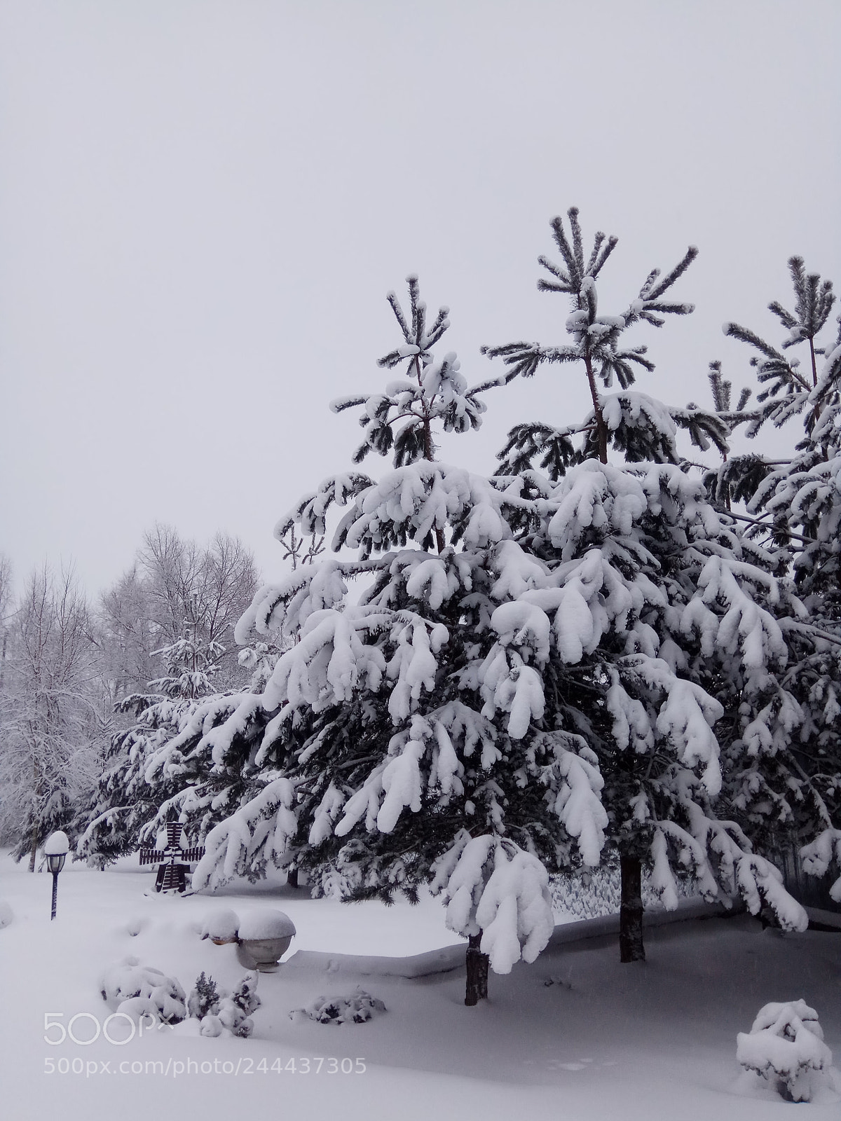 Xiaomi Redmi Note 4 sample photo. Winter photography