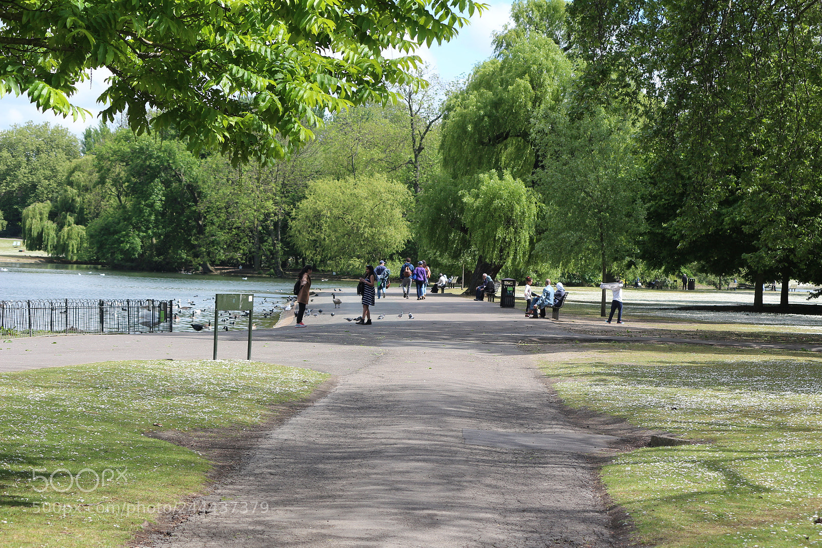 Canon EOS 650D (EOS Rebel T4i / EOS Kiss X6i) sample photo. Img photography