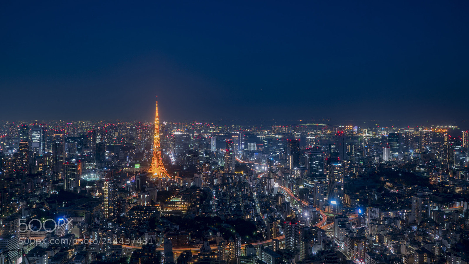 Sony a7R II sample photo. Tokyo tawa photography