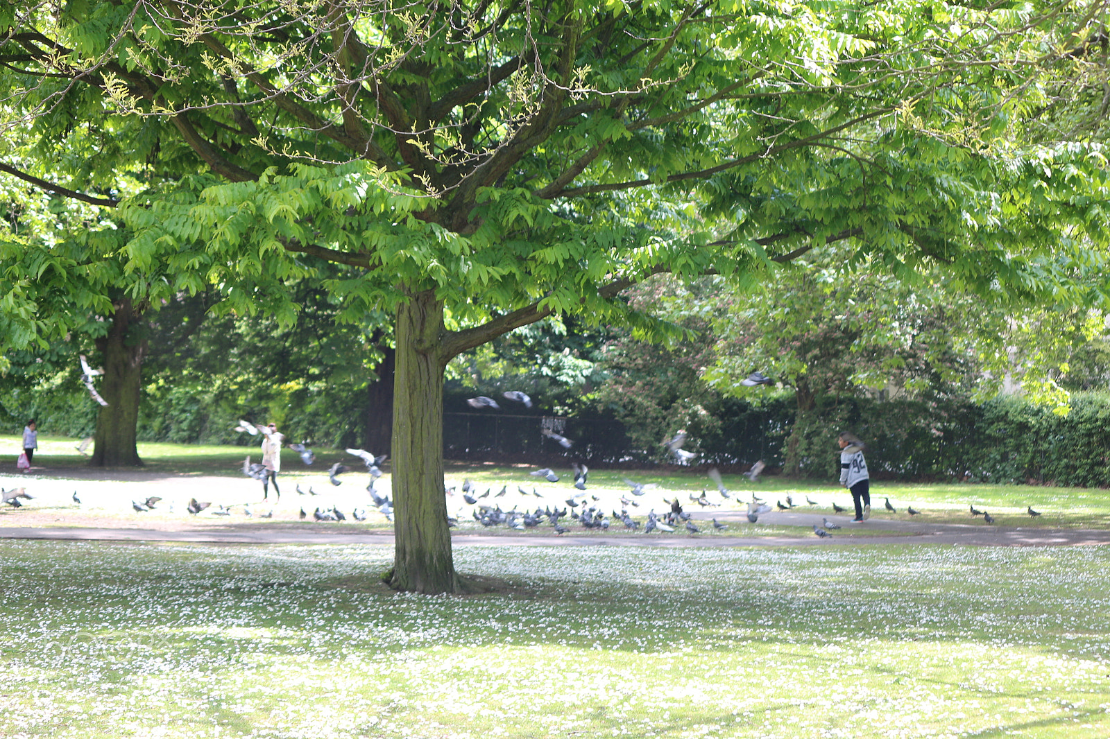 Canon EOS 650D (EOS Rebel T4i / EOS Kiss X6i) sample photo. Img photography