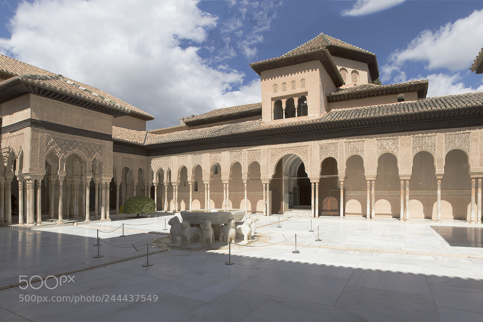 Nikon D7200 sample photo. Patio leones. photography
