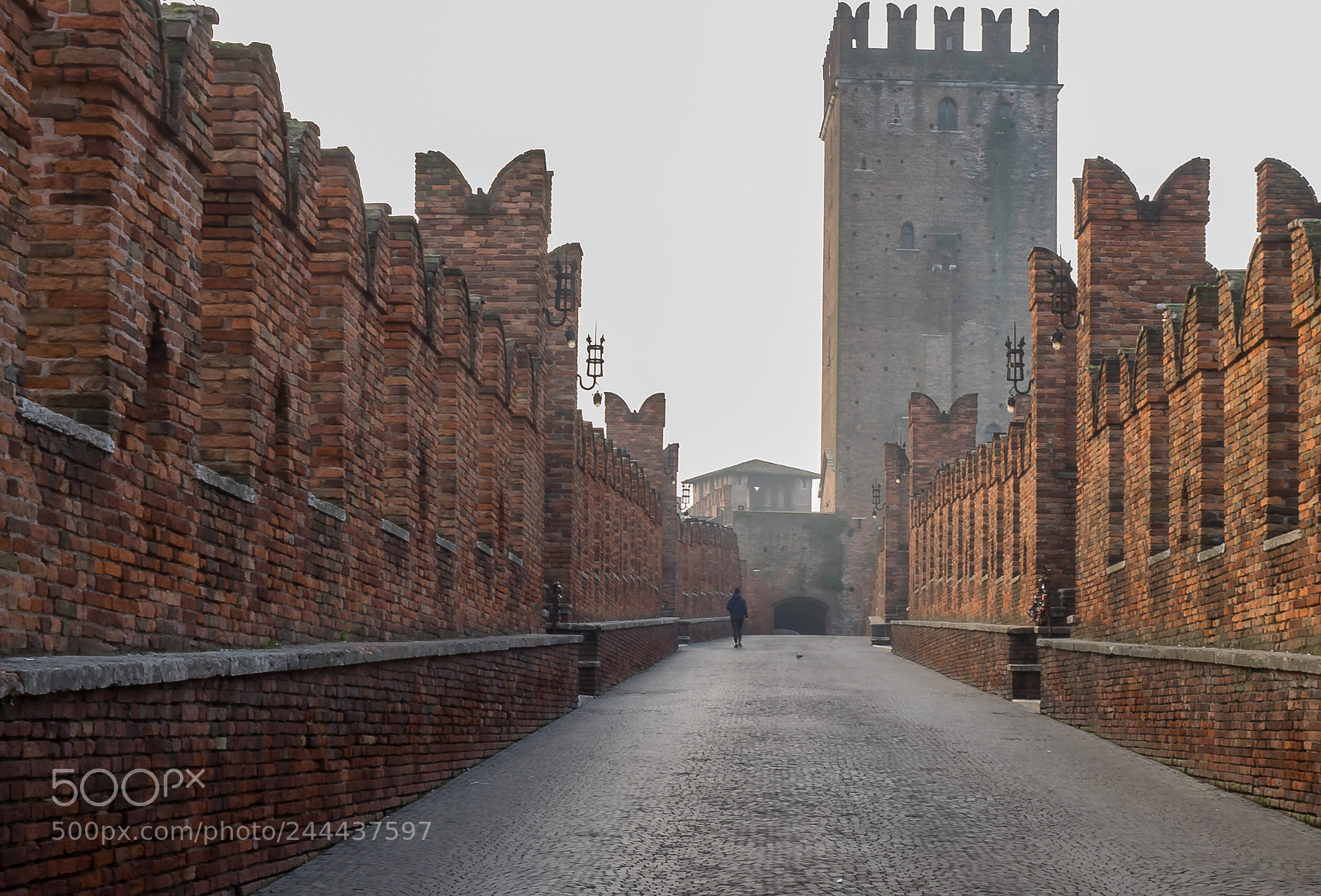 Olympus OM-D E-M1 sample photo. Verona photography