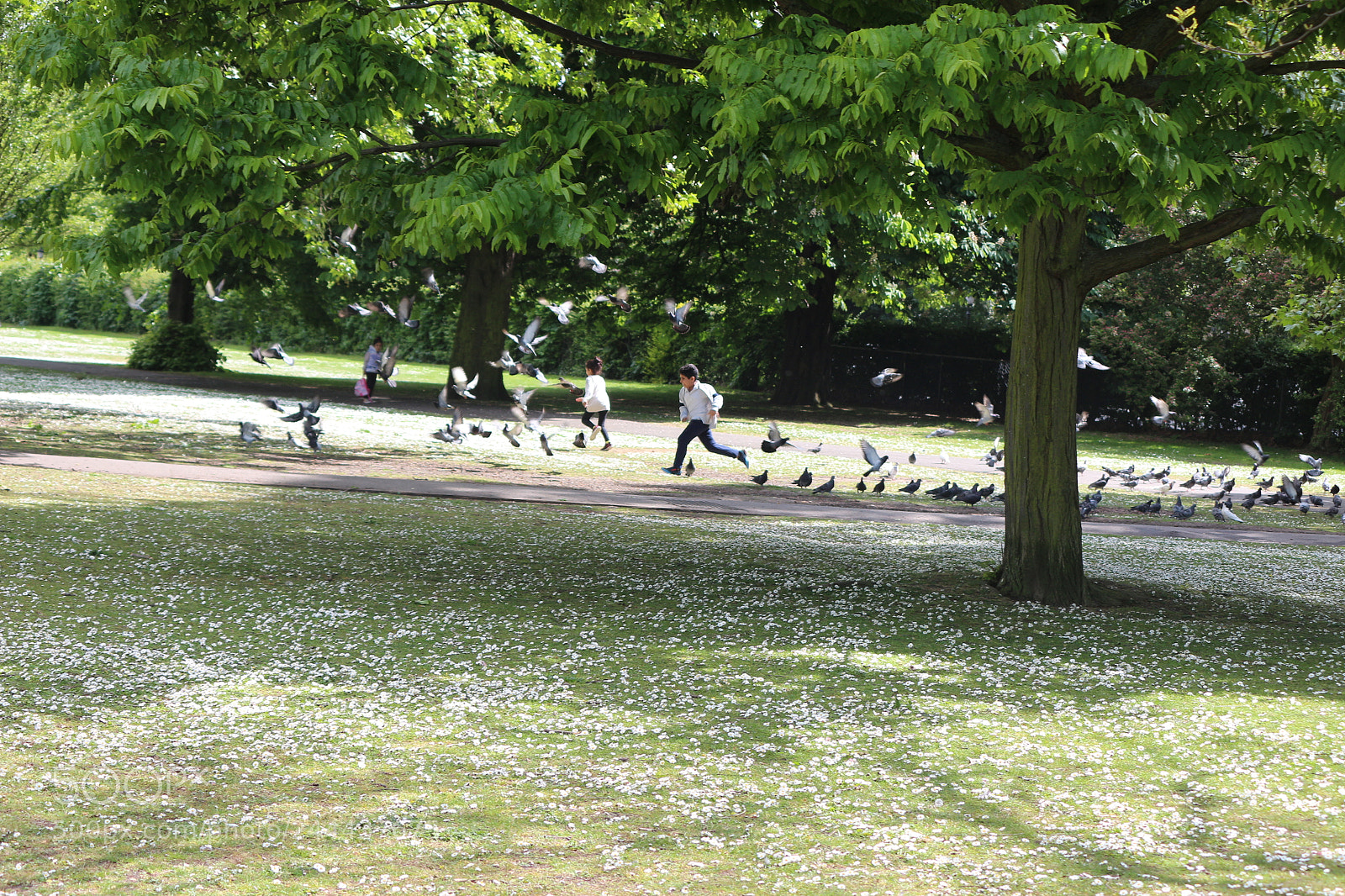 Canon EOS 650D (EOS Rebel T4i / EOS Kiss X6i) sample photo. Img photography