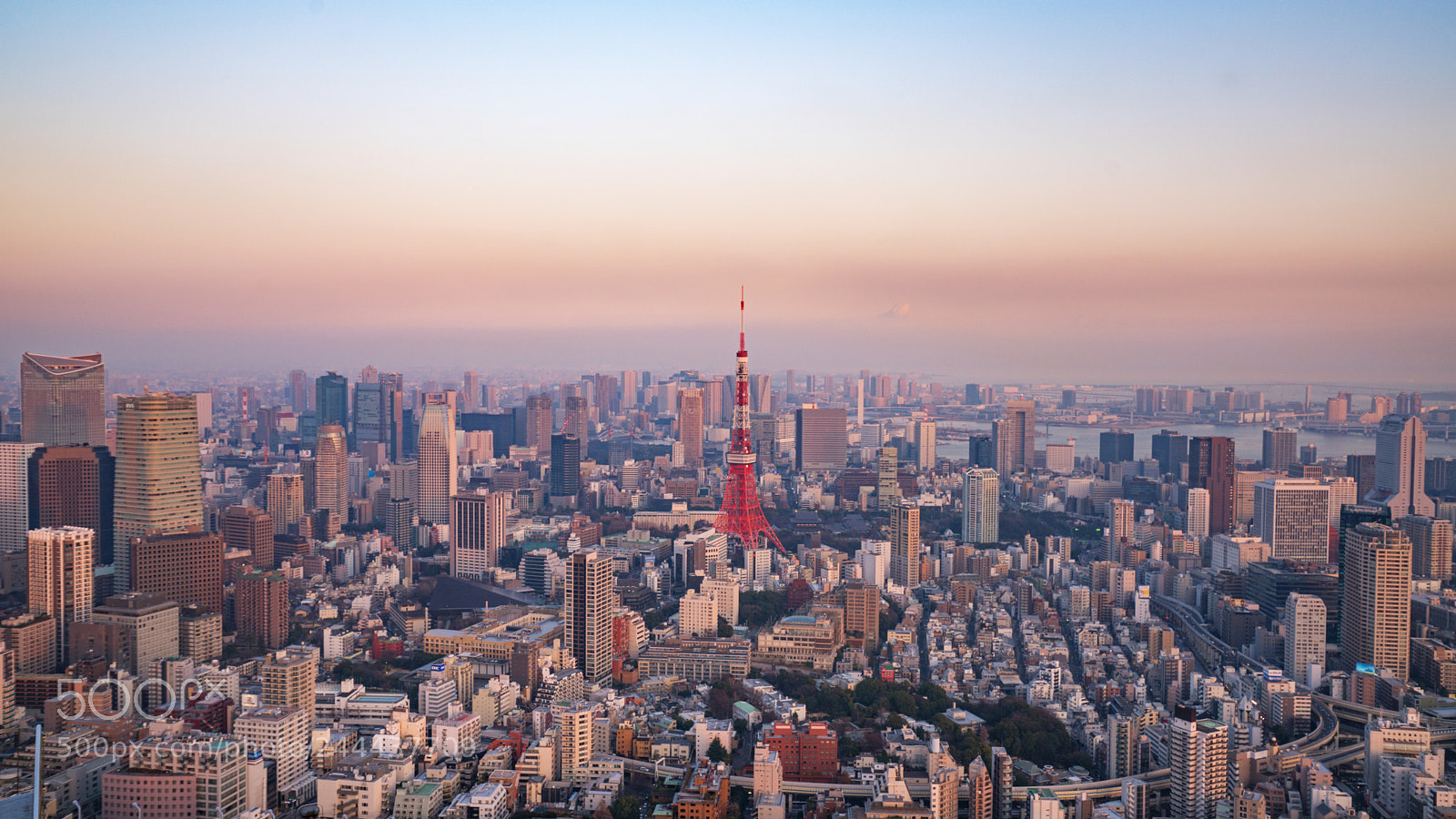Sony a7R II sample photo. Tokyo tawa photography