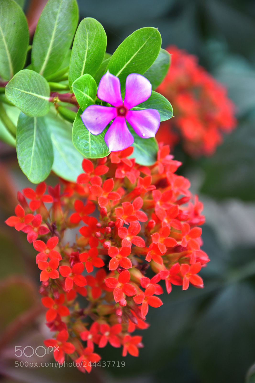 Nikon D7200 sample photo. Untitled photography