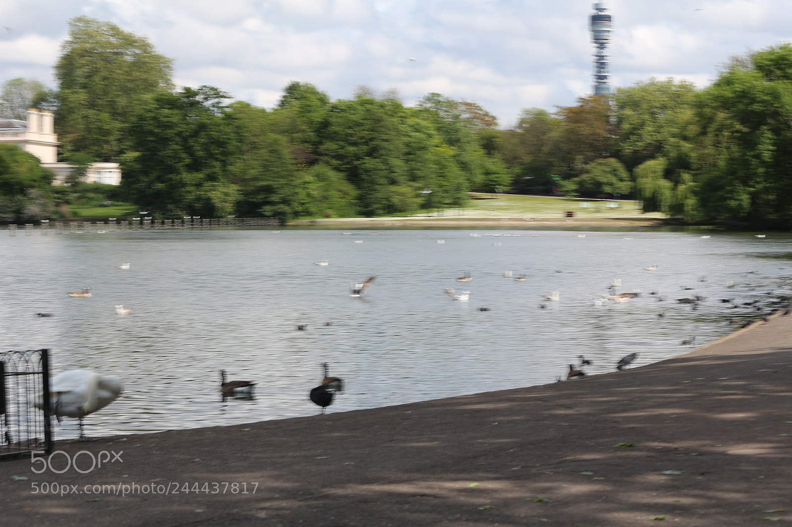Canon EOS 650D (EOS Rebel T4i / EOS Kiss X6i) sample photo. Img photography