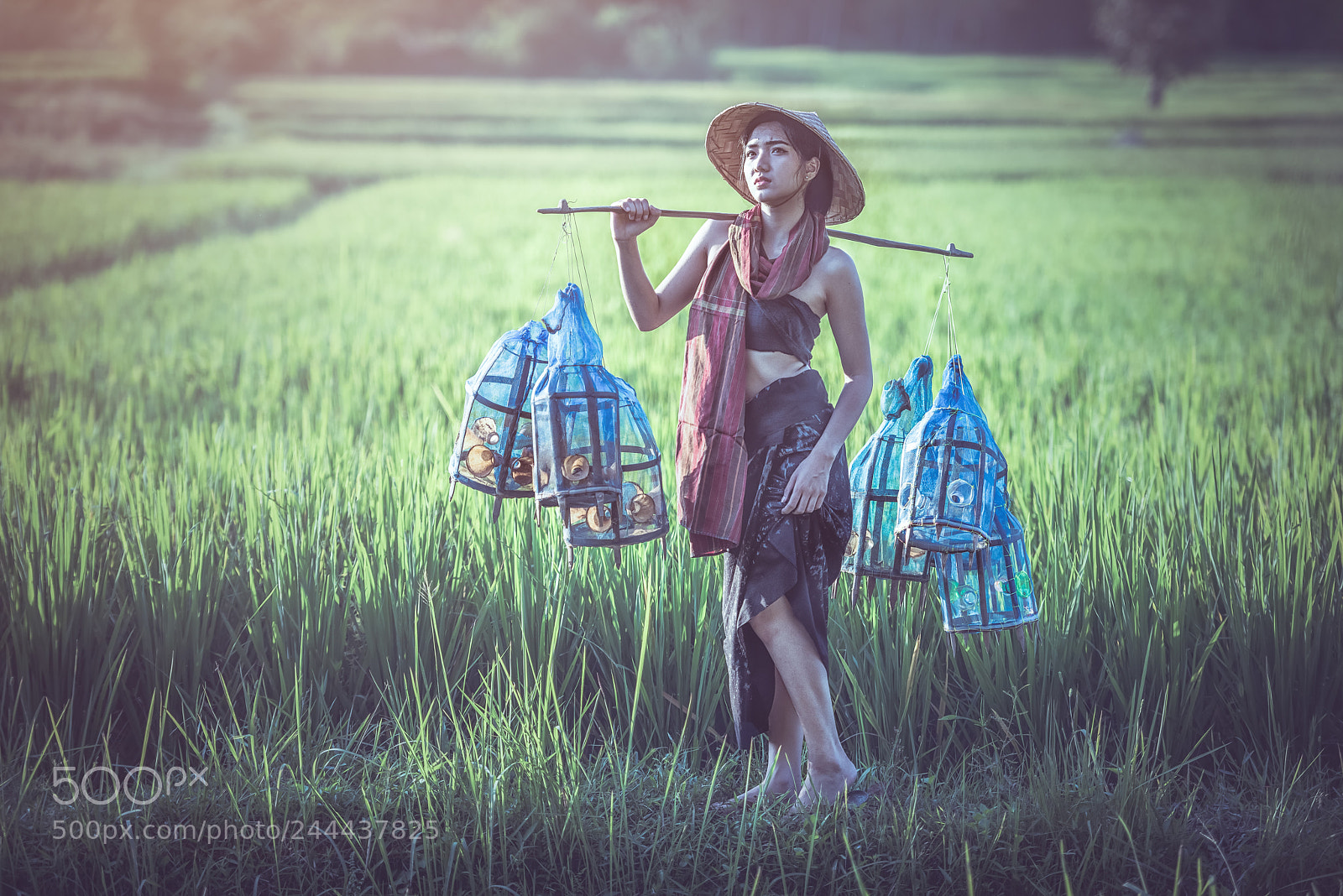 Nikon D810 sample photo. Portrait of thai young photography