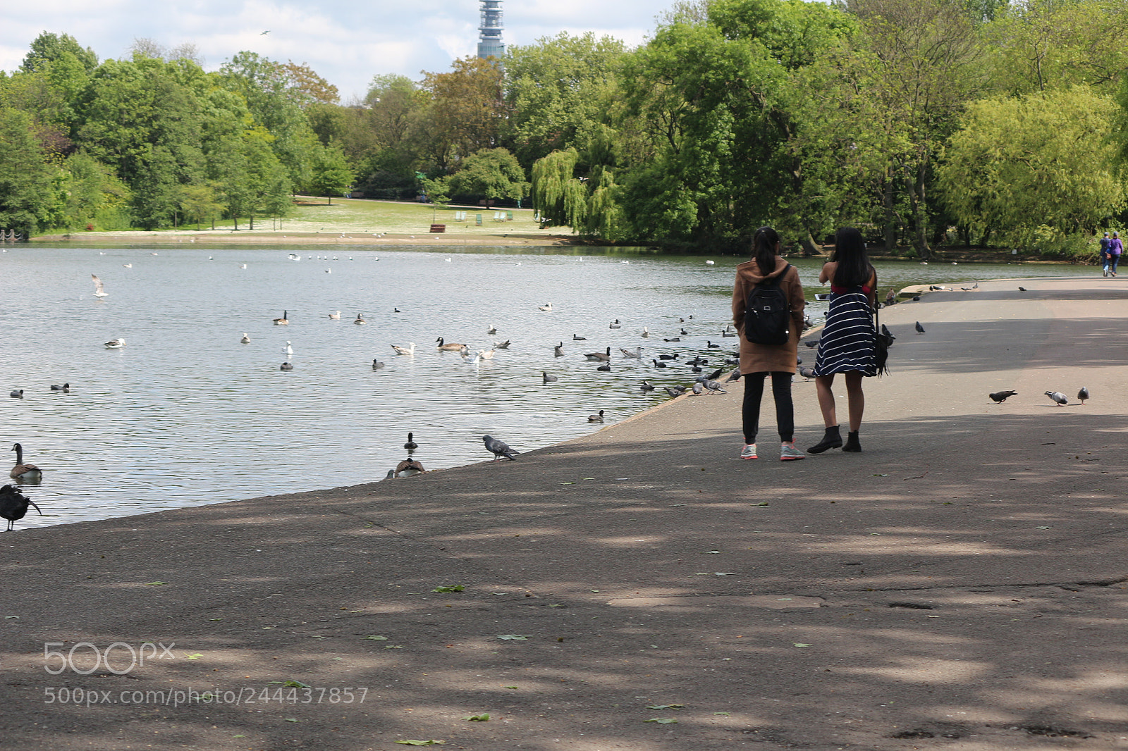 Canon EOS 650D (EOS Rebel T4i / EOS Kiss X6i) sample photo. Img photography
