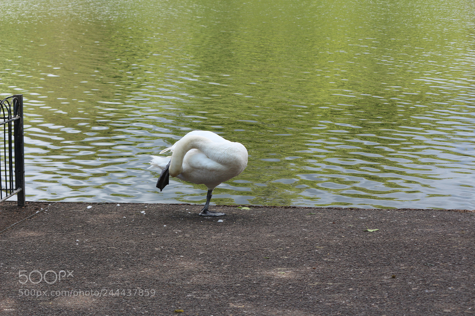 Canon EOS 650D (EOS Rebel T4i / EOS Kiss X6i) sample photo. Img photography