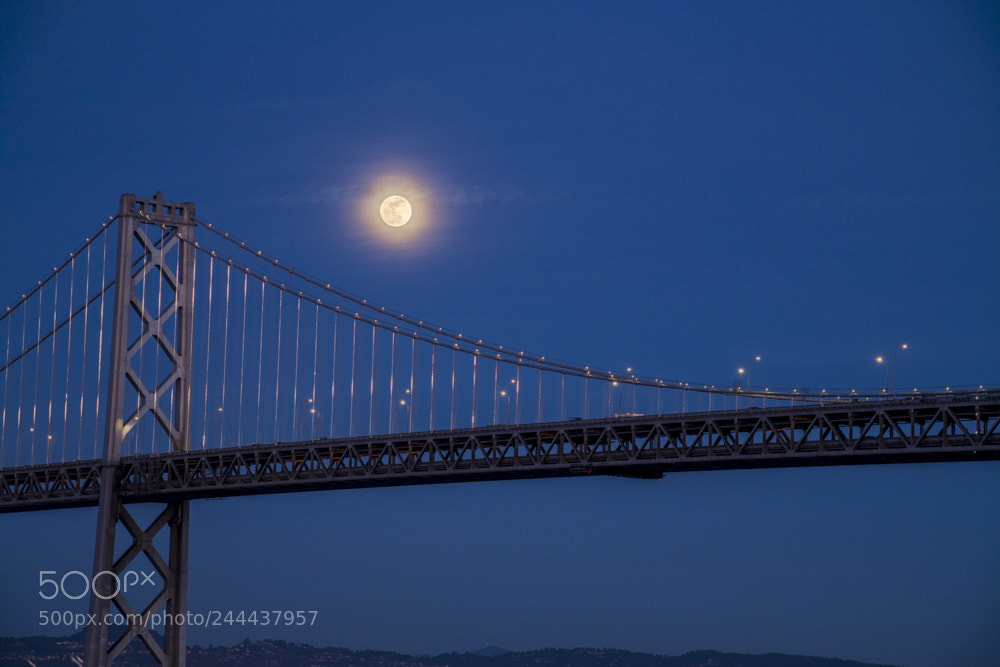 Nikon D850 sample photo. Blue moon photography