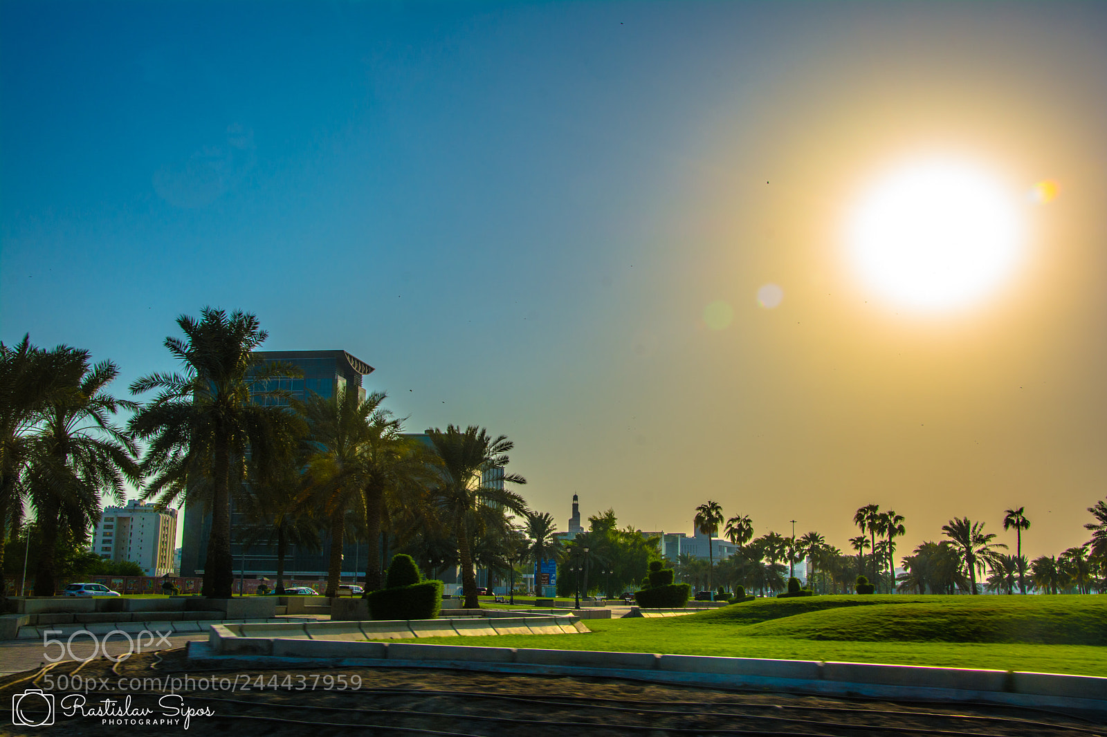 Nikon D7100 sample photo. Sunny doha photography