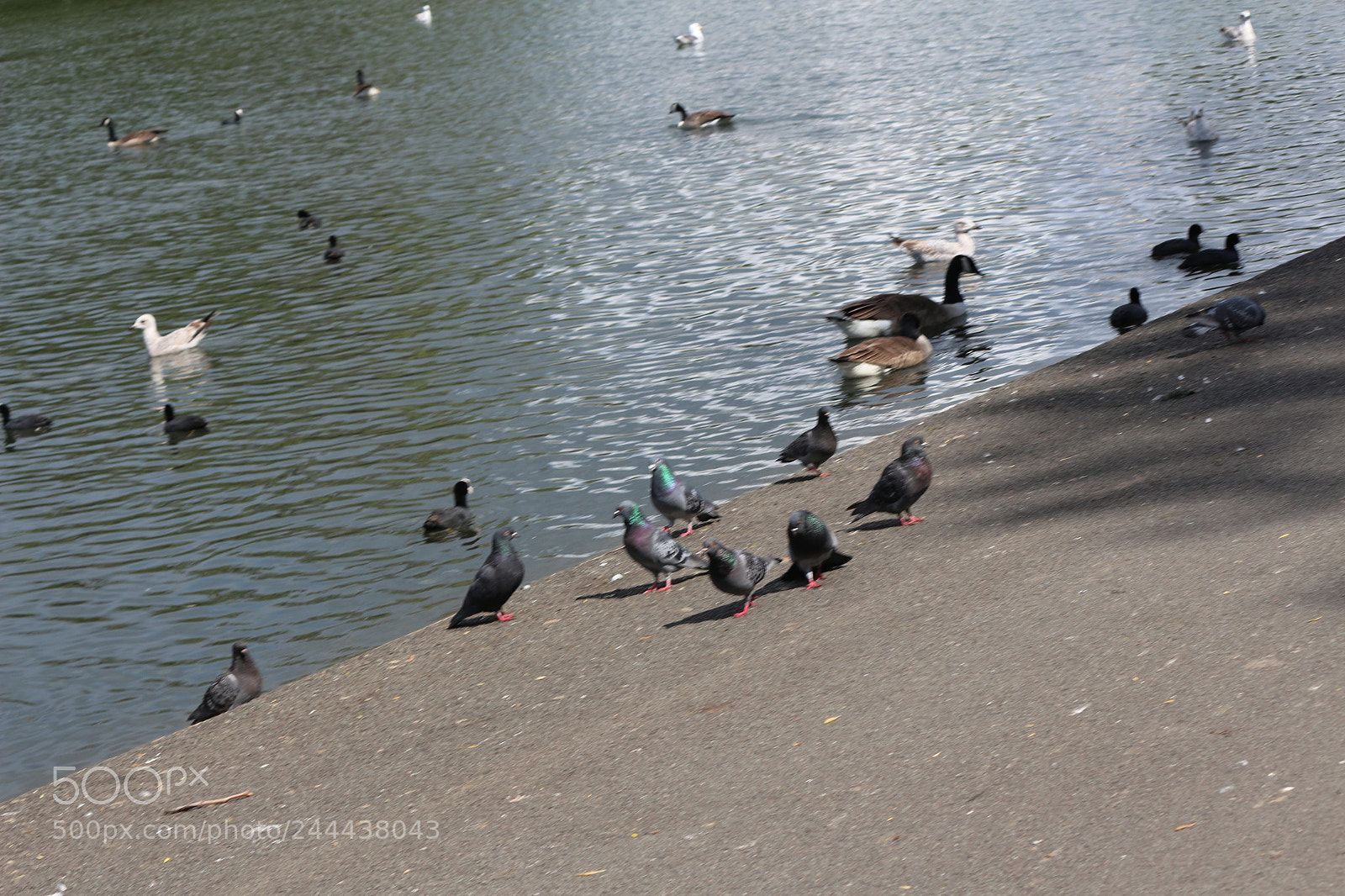 Canon EOS 650D (EOS Rebel T4i / EOS Kiss X6i) sample photo. Img photography