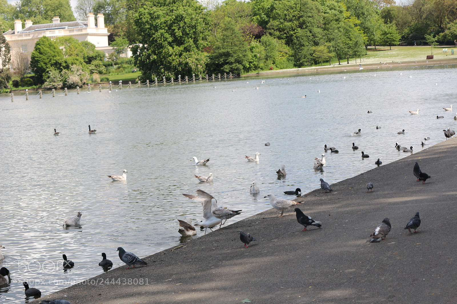 Canon EOS 650D (EOS Rebel T4i / EOS Kiss X6i) sample photo. Img photography