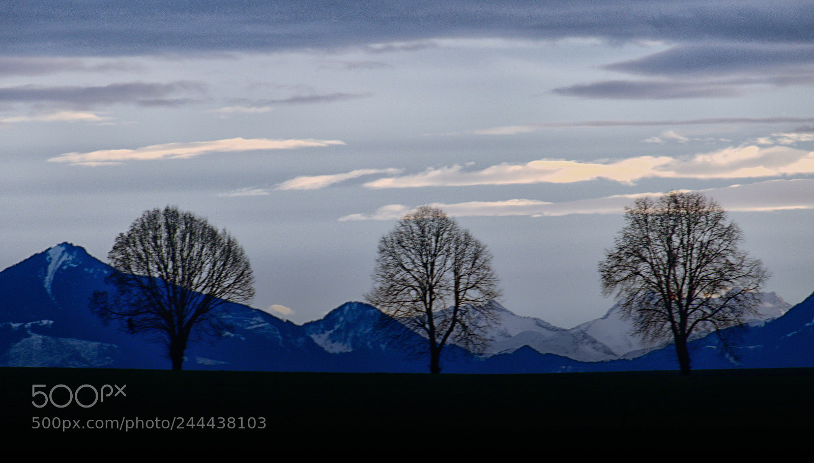 Panasonic Lumix DMC-FZ1000 sample photo. Three trees and mountains photography