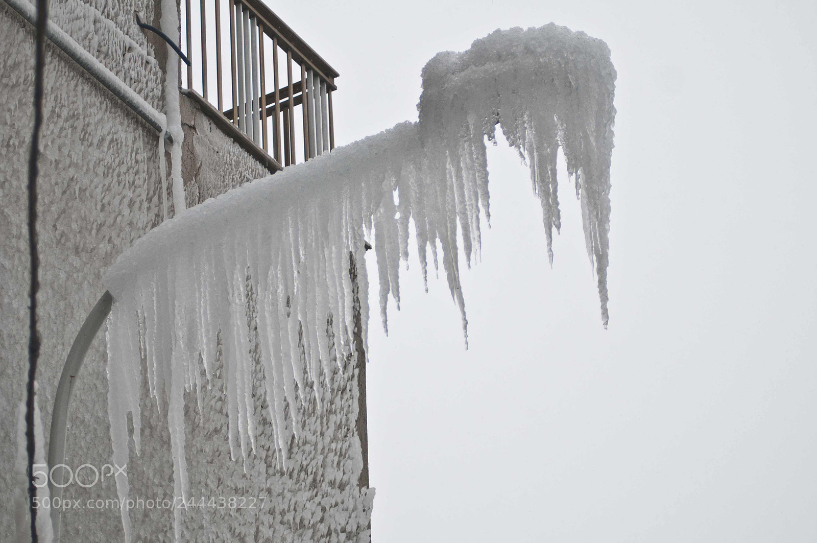 Nikon D300 sample photo. Winter 2017 photography