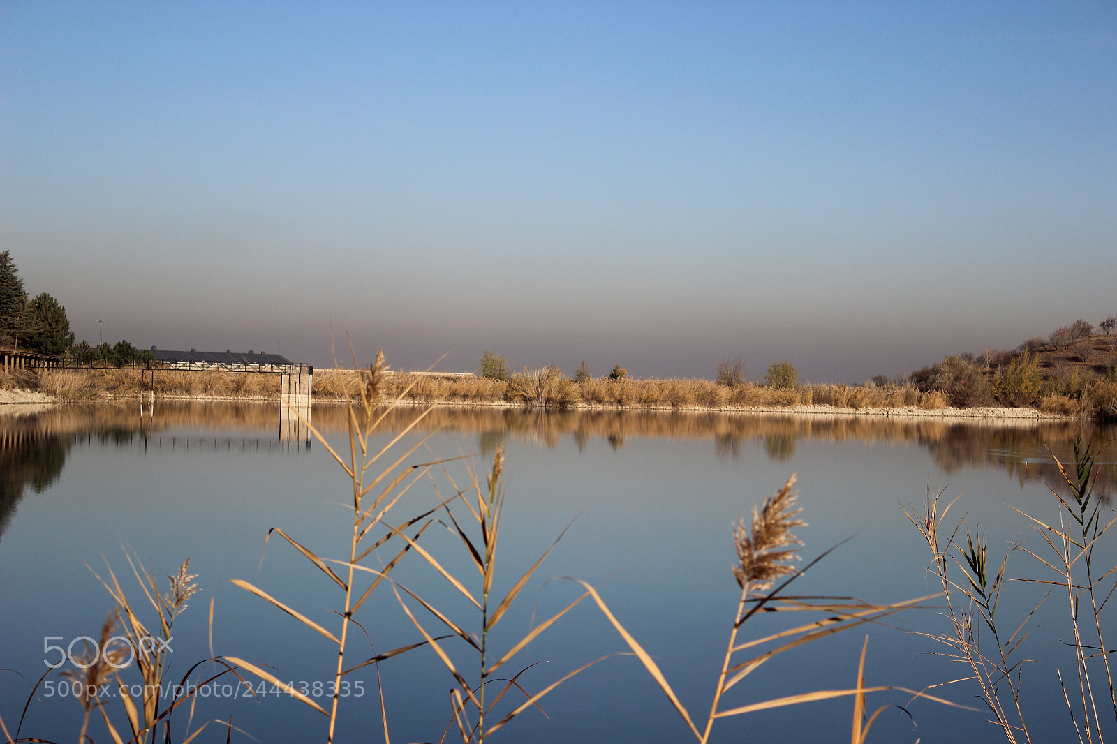 Canon EF-S 18-55mm F3.5-5.6 III sample photo. Img photography