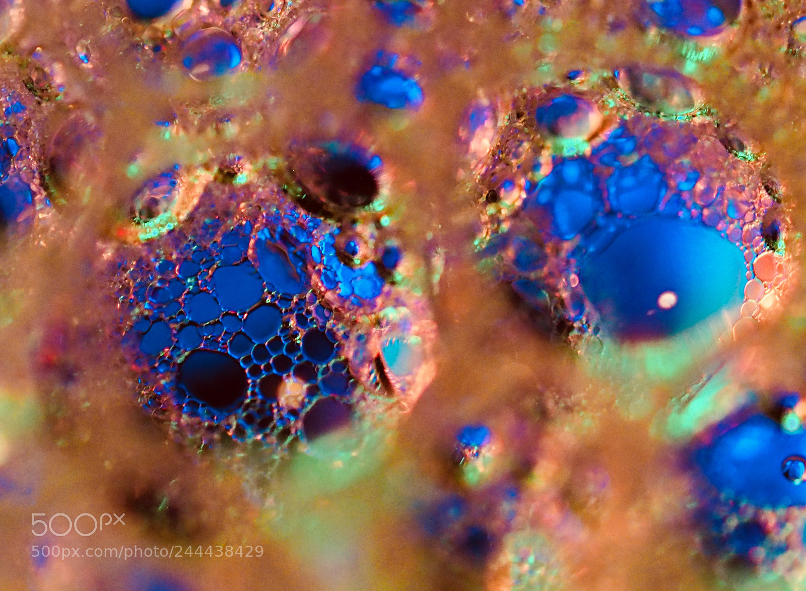 Olympus OM-D E-M1 sample photo. Lightpainting bubbles...added peroxide to photography