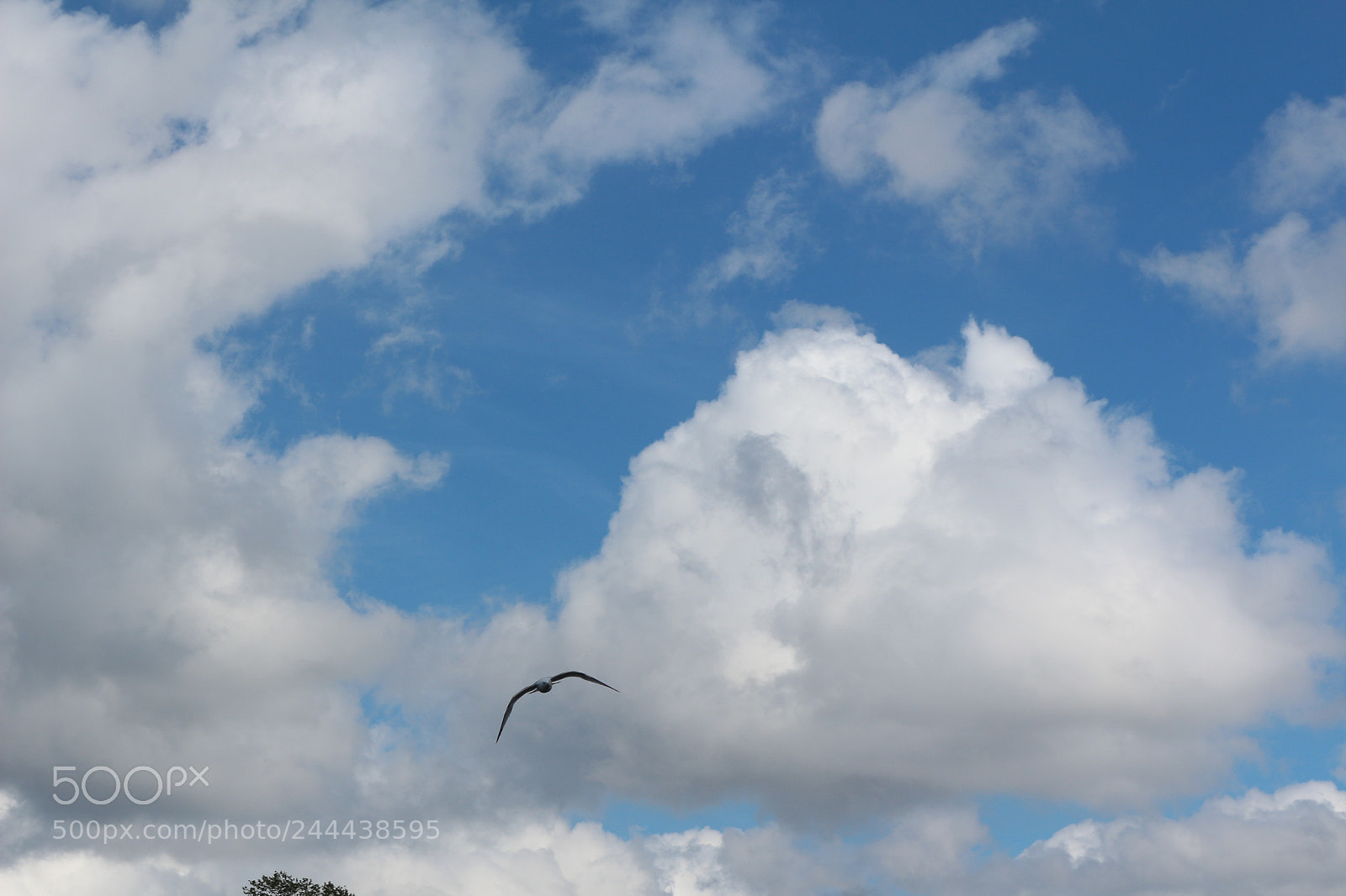 Canon EOS 650D (EOS Rebel T4i / EOS Kiss X6i) sample photo. Img photography