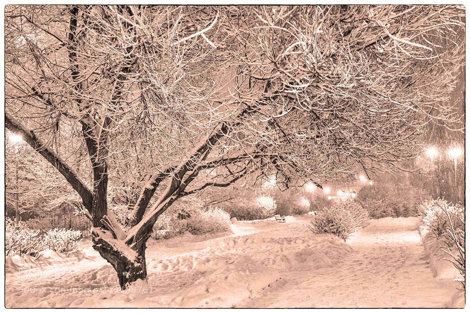 Nikon D500 sample photo. Снежная ночь в Москве photography