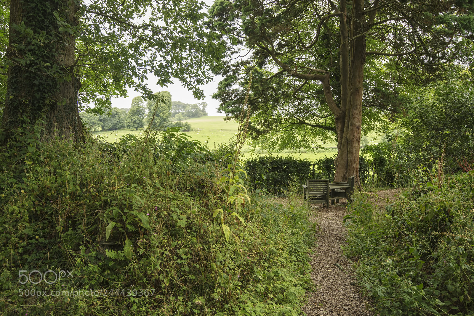 Nikon D600 sample photo. Secluded seat (1) photography