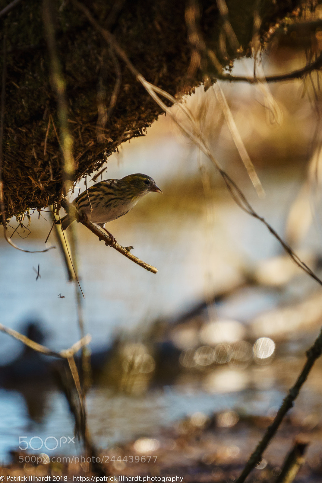 Sony a7R sample photo. The watch photography