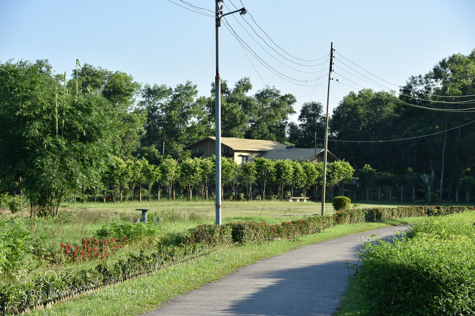 Nikon D7200 sample photo. Natural beauty of bangladesh photography