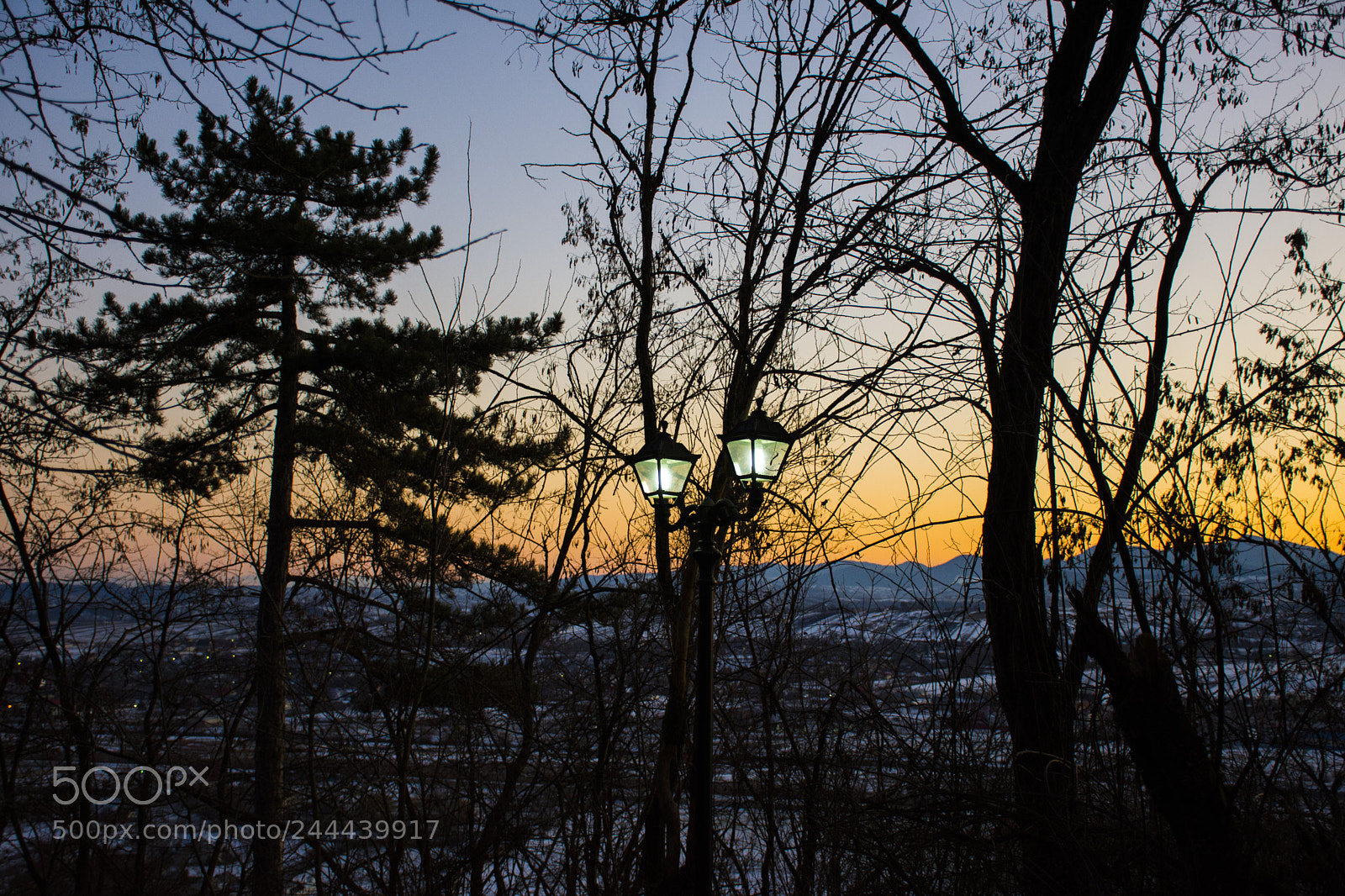 Nikon D7200 sample photo. Lamp post photography