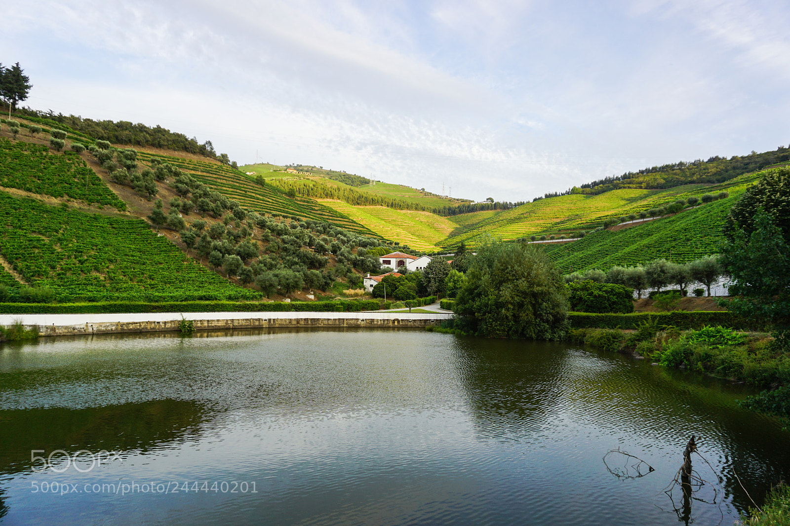 Sony a5100 sample photo. Portugal photography