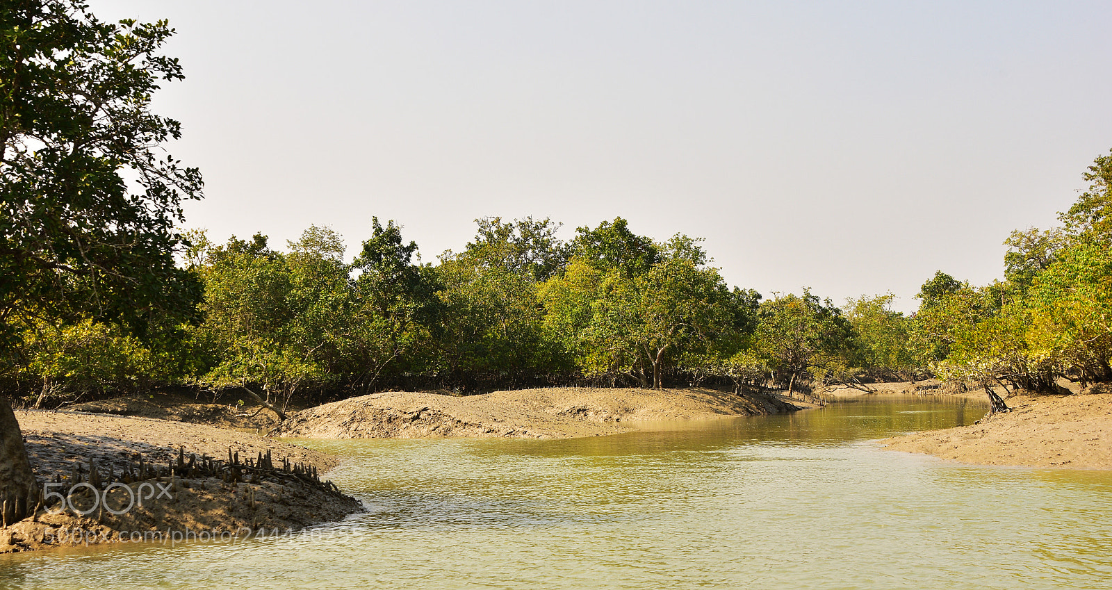 Nikon D7200 sample photo. ... through dangerous waterways ........... photography