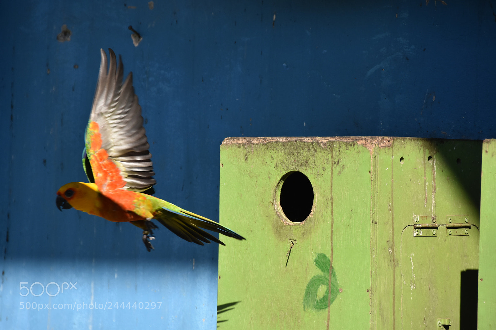 Nikon D7200 sample photo. Natural beauty of bangladesh photography