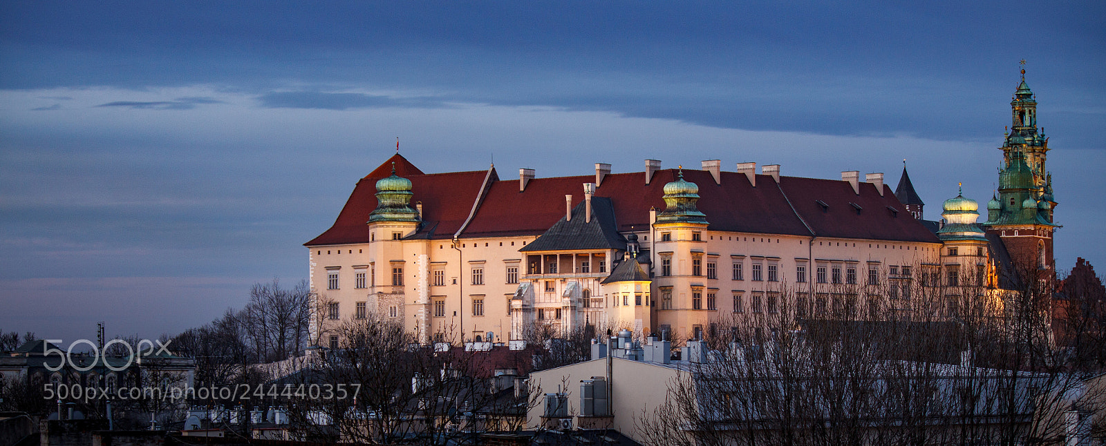 Canon EOS 50D sample photo. Wawel photography