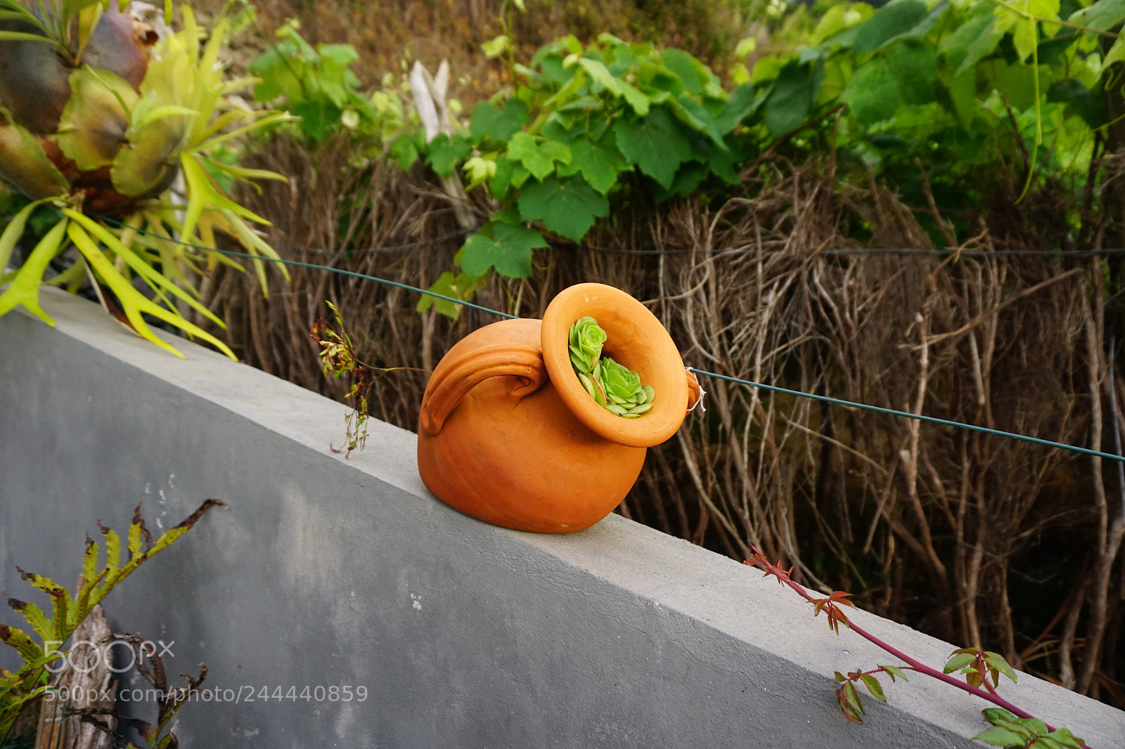 Sony a5100 sample photo. Portugal photography