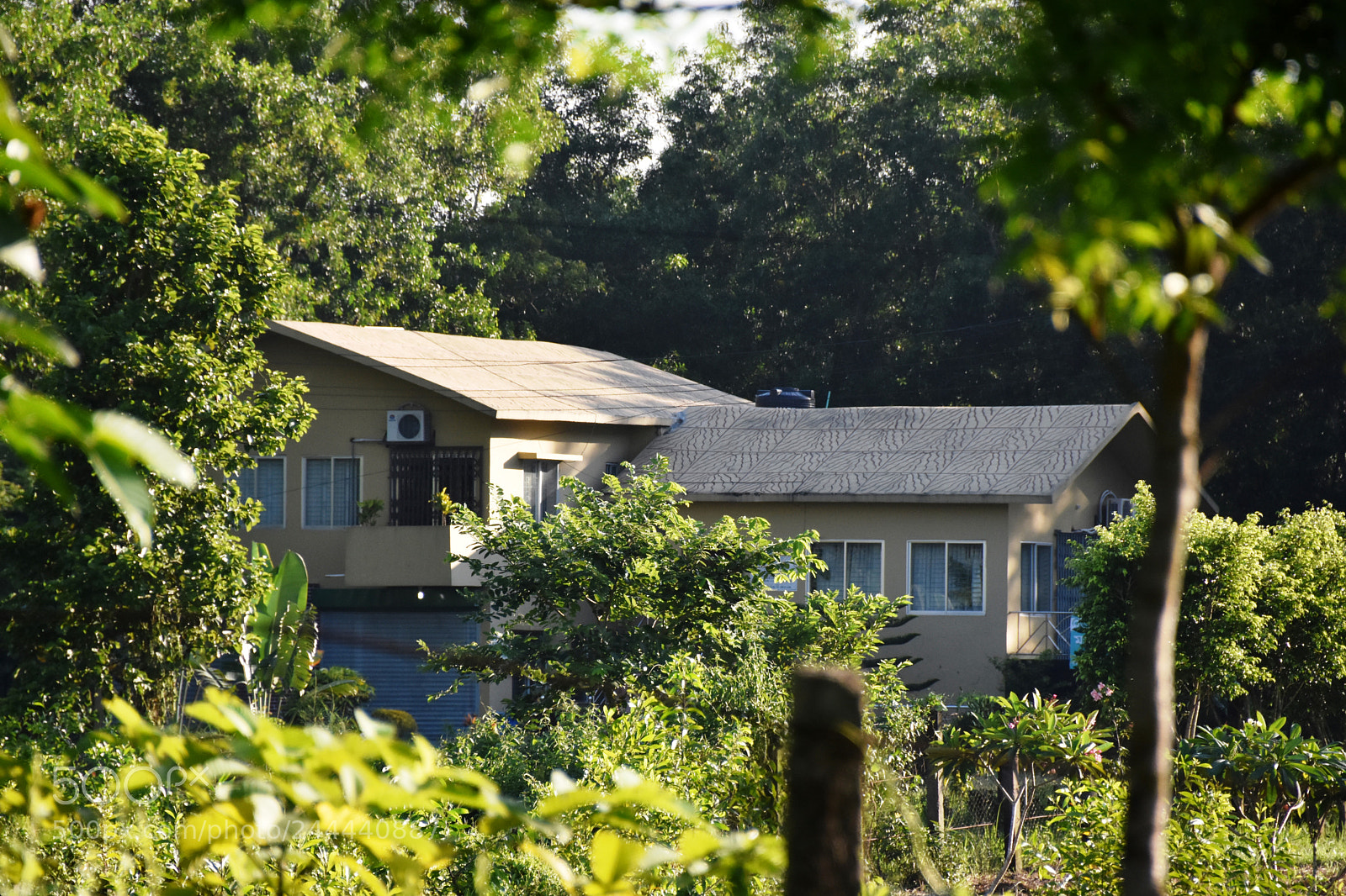 Nikon D7200 sample photo. Natural beauty of bangladesh photography