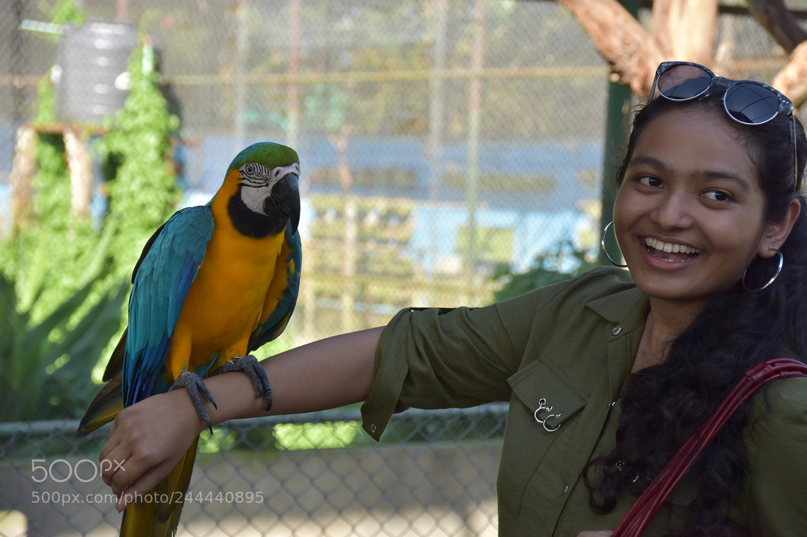 Nikon D7200 sample photo. Parrot on hand of photography