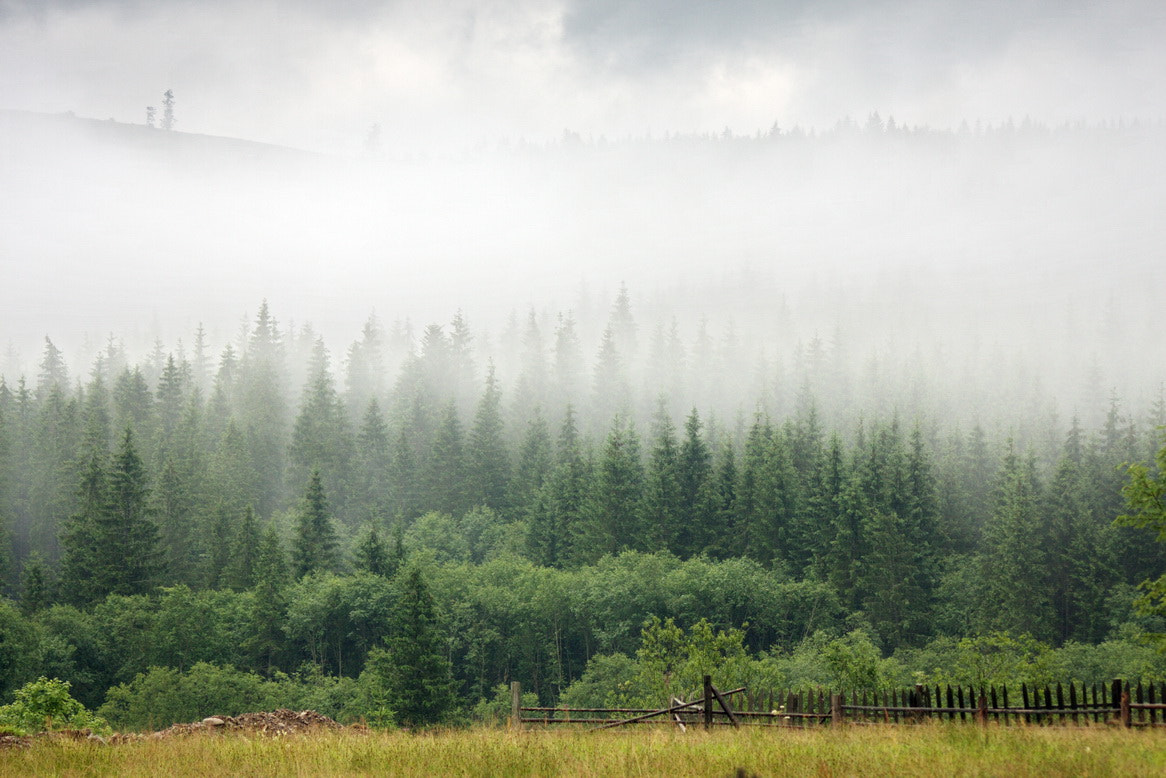 Canon EOS 40D + Sigma 70-300mm F4-5.6 APO DG Macro sample photo. Fog in the foothills photography