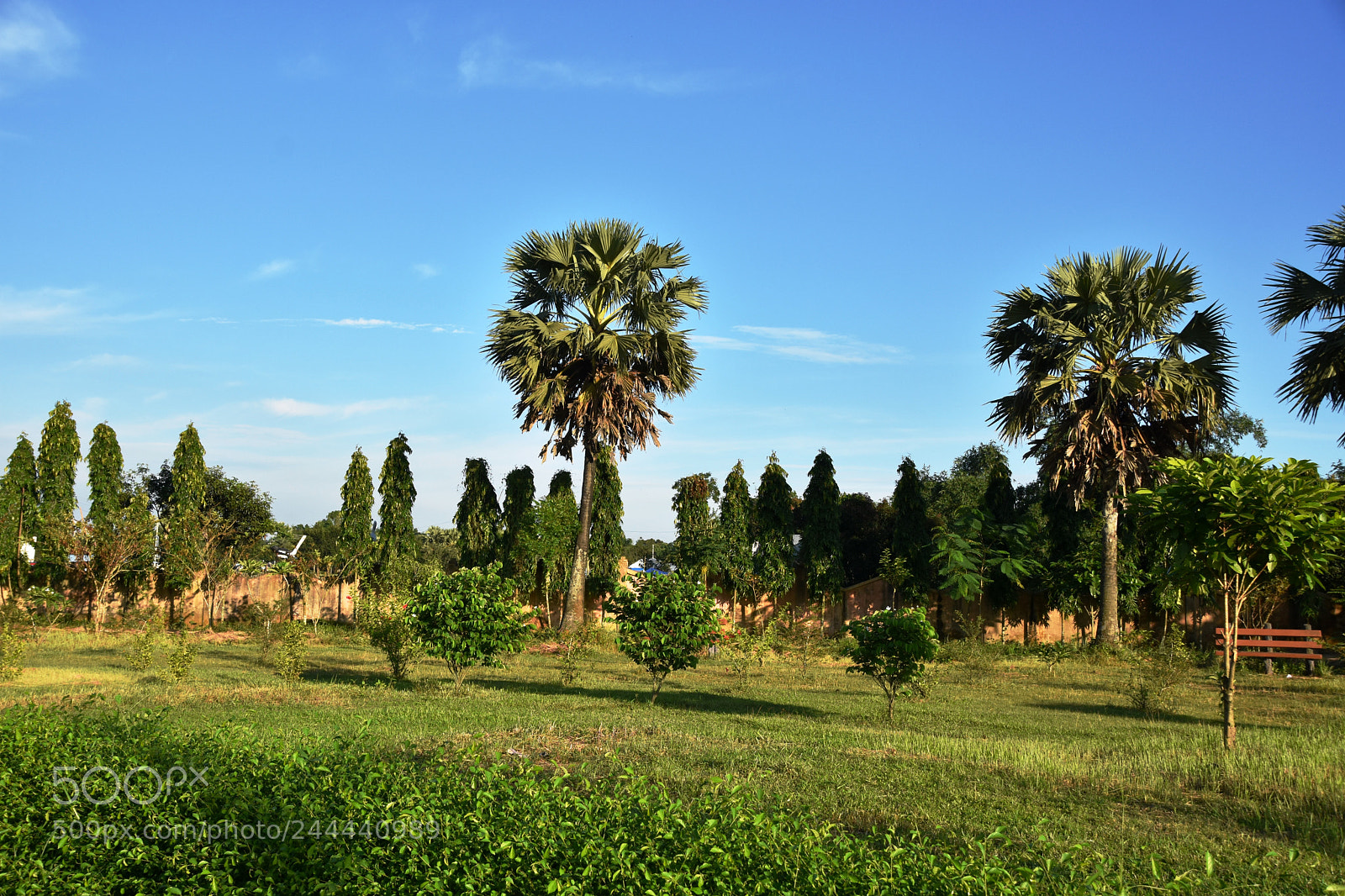 Nikon D7200 sample photo. Natural beauty of bangladesh photography