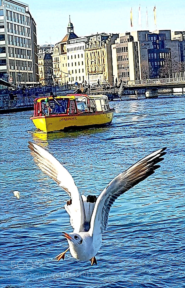 Samsung Galaxy S8 sample photo. Untitled photography