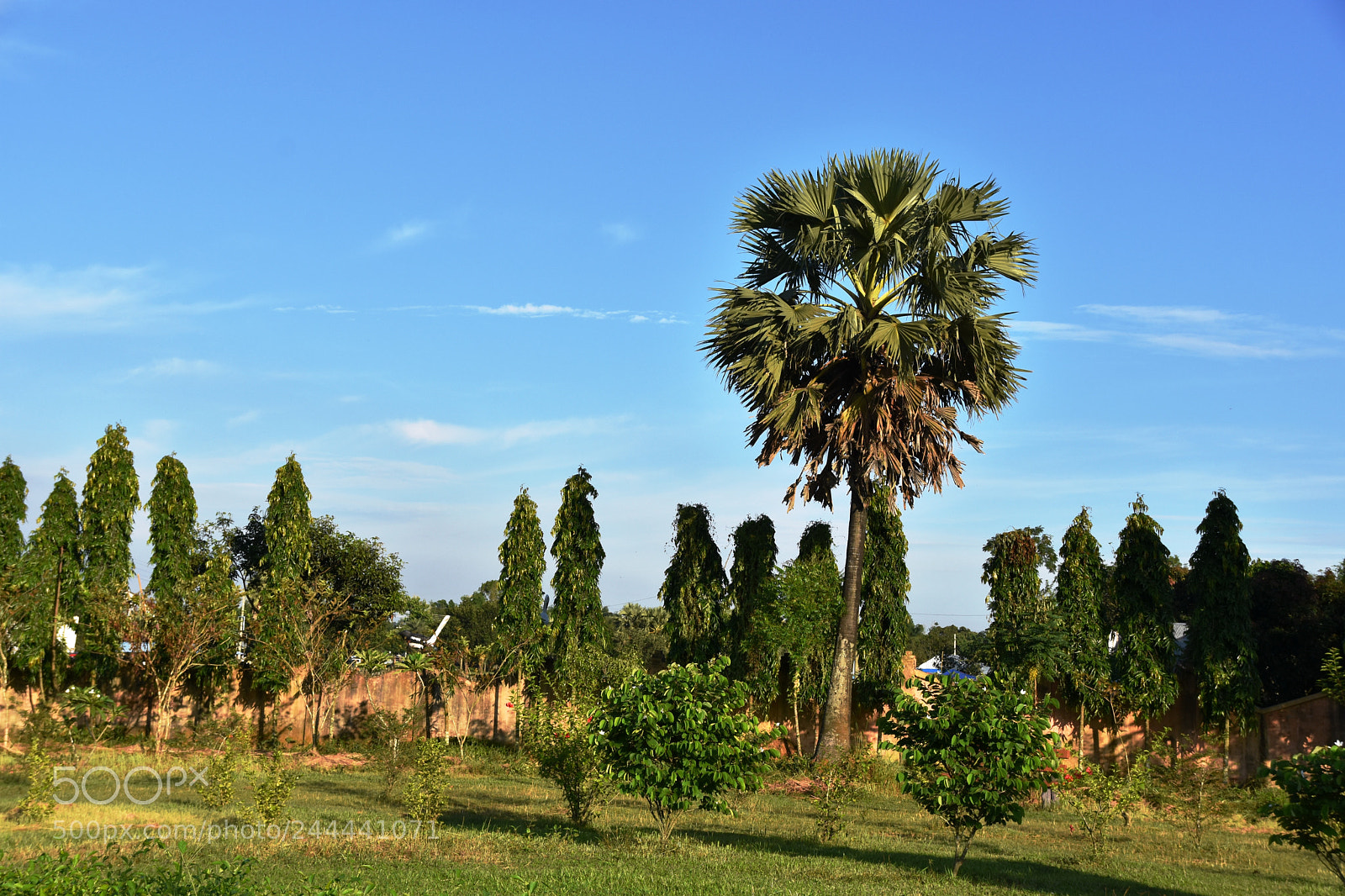 Nikon D7200 sample photo. Natural beauty of bangladesh photography